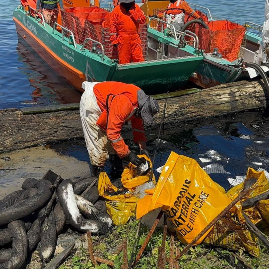 Derrame de Hidrocarburo Paraliza Pesca en el Río Pánuco